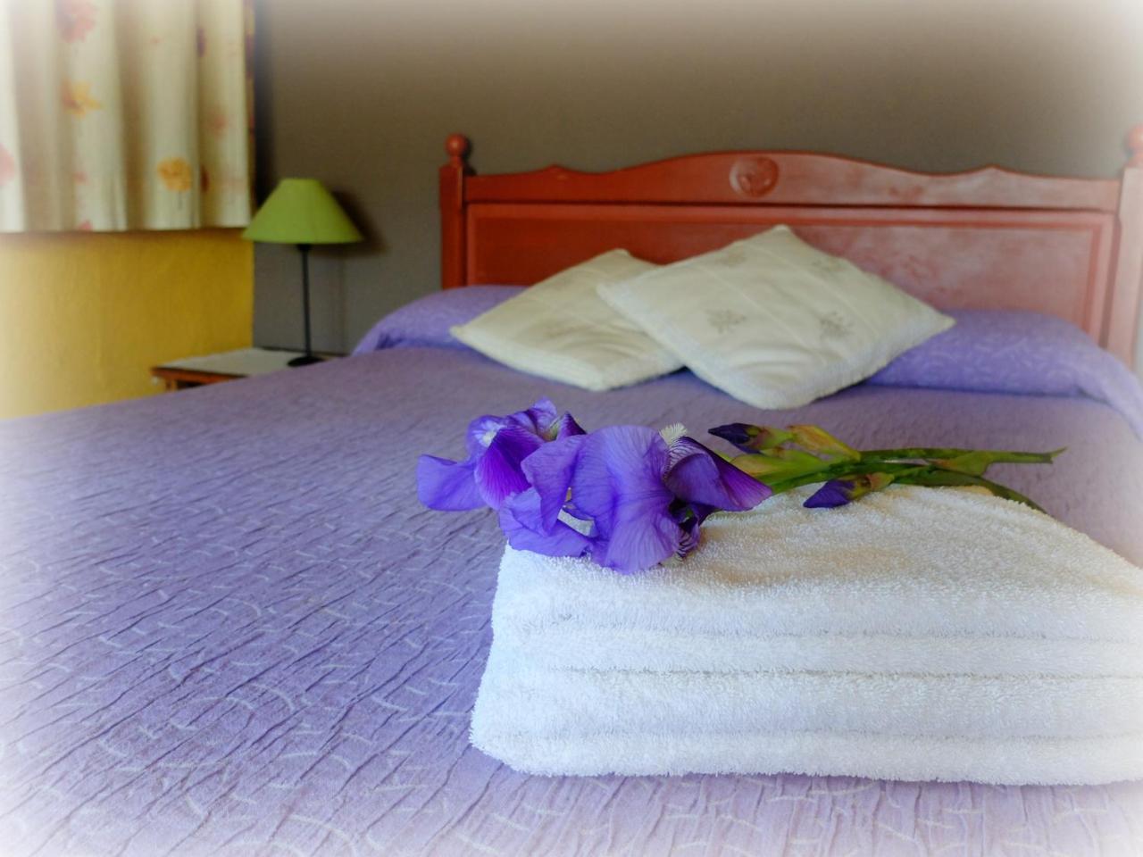 Mas Violella Rural Landhuis *