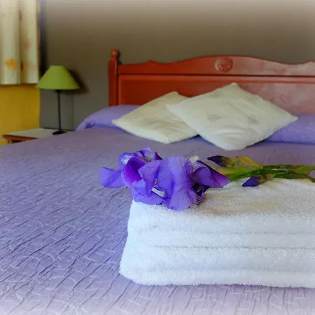Mas Violella Allotjament Rural Sant Joan les Fonts Exterior photo