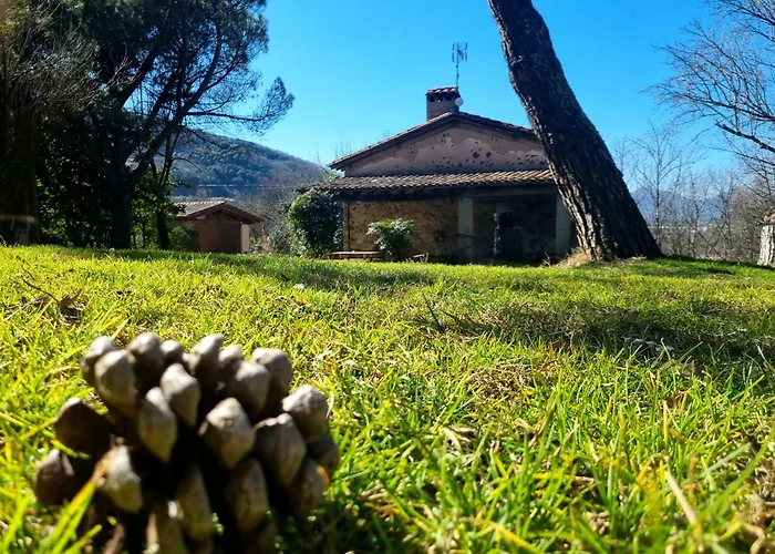 Mas Violella Allotjament Rural