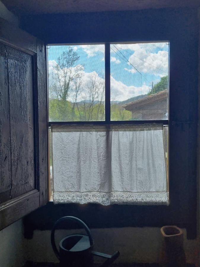 Mas Violella Rural Landhaus *